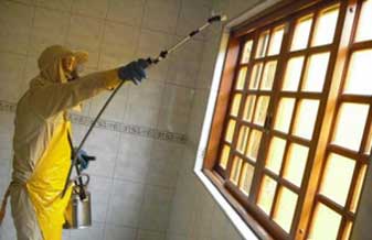 A Dedetizadora Zoonose Controle de Pragas - Foto 1