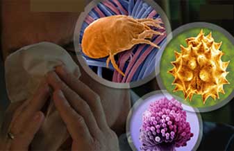 Pedro Giavina Bianchi - Foto 1