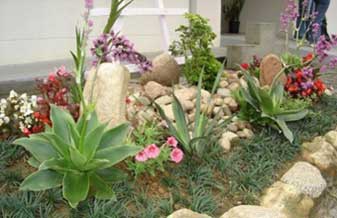 Denise Barreto - Foto 1