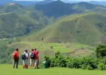 Vai de Roteiro