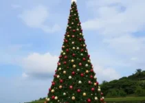 árvore de Natal