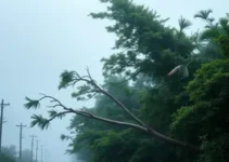 chuva e vento de 93 km/h