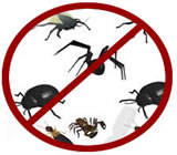 Dedetizadoras no Jardim América