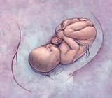 Obstetras e Obstetrícia no Jardim América