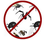 Dedetizadoras no Jardim Europa