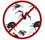 Dedetizadoras no Jardim Paulistano