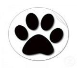 Pet Shops no Jardim Paulistano