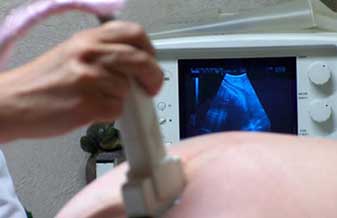 Maria L J G T Leite - Foto 1