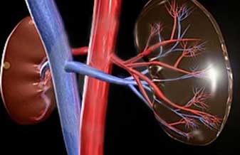 Clinica de Tratamento Nefrológico Avançado - Foto 1