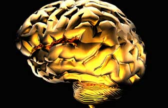 Erasmo Barbante Casella - Foto 1