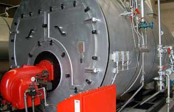 Tinturaria Galo - Foto 1