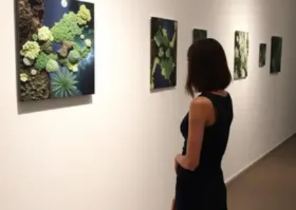 exposição individual no encalço do líquen